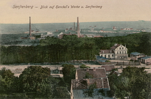 Senftenberg